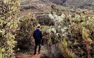 hiking trail e1761915555934 - du kloof lodge