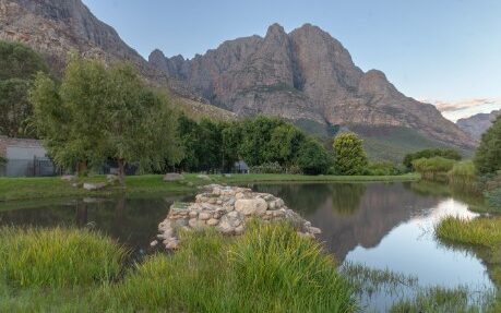 Trout Fishing 4 trout pond view e1761916675735 - du kloof lodge